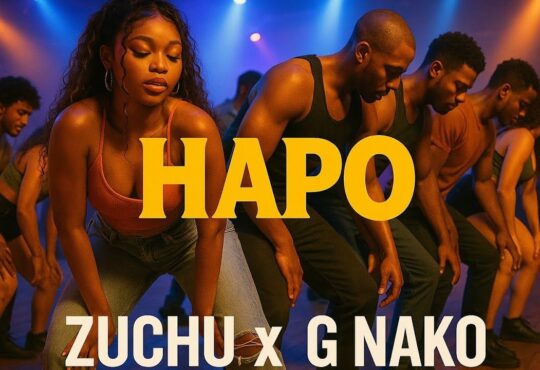 G Nako Feat. Zuchu - Hapo