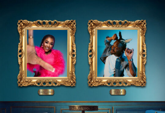 Lady Zamar feat. Fido - Show Me
