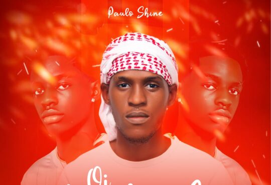 Paulo Shine feat Vedapilha Dj - Oi Madrinha