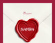 Bayanni - Namipa (Feat. Qing Madi)