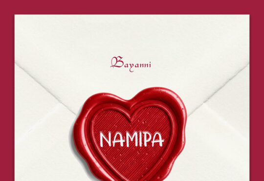 Bayanni - Namipa (Feat. Qing Madi)
