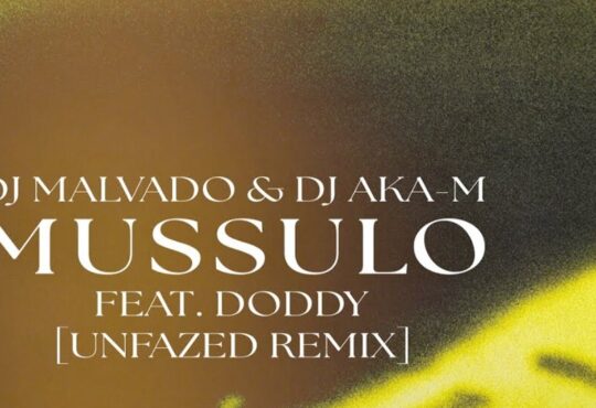 DJ Malvado, DJ Aka-m - Mussulo (feat. Doddy) [unfazed Remix]