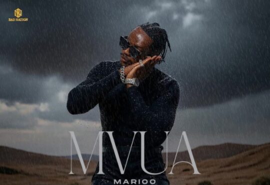 Marioo - MVUA