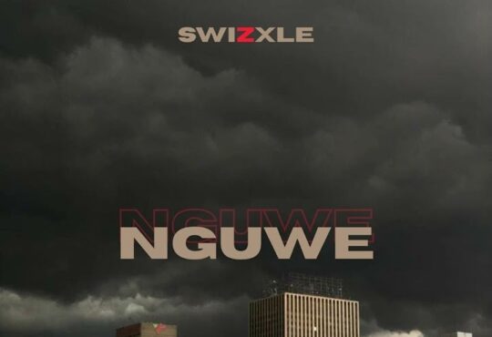 Swizxle - Nguwe